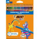 Комплект цветни моливи Evolution Bic, P36