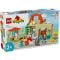 LEGO® Duplo - Грижа за животните във фермата (10416)