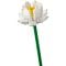 Lego® Iconic -Лотоси (40647)