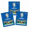 Албум и стикери с футболисти, Topps, UEFA EURO 2024