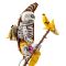LEGO® Fortnite - Peely Bone (77072)