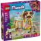 LEGO® Friends - Магазин за аксесоари за домашни любимци (42650)