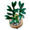 LEGO® Botanicals - Бамбук за късмет (10344)