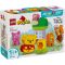 LEGO® DUPLO - Парти за рождения ден на Мечо Пух (10457)