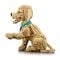 LEGO® Icons - Кученце голдън ретривър (11384)