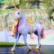 Фигурка еднорог със светлини в цветовете на дъгата, Unicorn Academy, 6071157