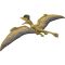 Подвижна фигурка, Jurassic World Rebirth, Ceoptera, JGB73