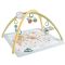 Активна бебешка гимнастика, Fisher Price, Simply Senses Newborn Gym, JMN74