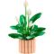 LEGO® Botanicals - Спатифилум (11504)
