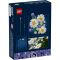 LEGO® Botanicals - Маргаритки (11508)