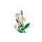 LEGO® Botanicals - Маргаритки (11508)