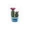 LEGO® Botanicals - Цъфтящ кактус (11509)