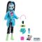 Кукла Frankie , Monster High, Creepover Party, HKY68