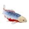 Фигурка Mojo, Риба Koi Asagi