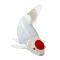 Фигурка Mojo, Риба Koi Tancho