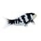 Фигурка Mojo, Риба Koi Shiro Utsuri