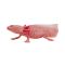 Фигурка Mojo, Salamandra Axolotl