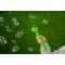 Комплект устройство за сапунени балончета и разтвор, Fru Blu, Dino Bubble Catcher, 400 мл