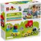 LEGO® DUPLO - Творчески превозни средства (10474)