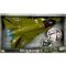 Самолет F35 със светлини и звуци, Hero Combat, 50см
