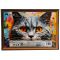Пъзел Witty Puzzlezz, Котка, 500 части