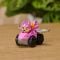 Мини превозно средство с фигурка, Paw Patrol the Dino Movie, Pup Squad Racers, Skye, 20157139