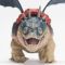 Комплект за игра, DreamWorks Dragons, Gronckle и Fishlegs, 20151276