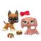 Комплект с 2 фигурки и аксесоари, Littlest Pet Shop, Holiday Pet Pairs, S4