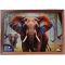 Пъзел Witty Puzzlezz, Слон с цветни уши, 250 части
