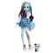 Кукла Monster High Frankie Stein с домашен любимец и аксесоари, HHK53