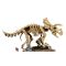 LEGO® Jurassic World - Вкаменелости от динозаври: трицератопс (77985)