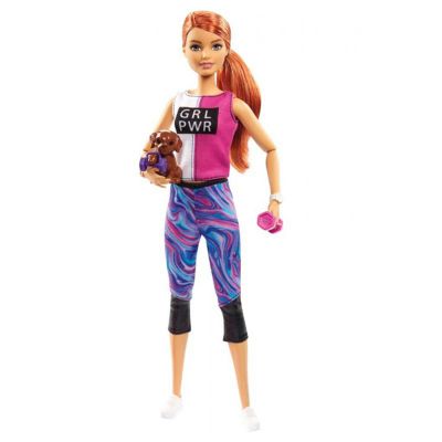 GKH73 GJG57 Set de joaca Barbie cu accesorii Welness GJG57