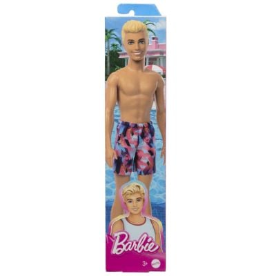 N000HPV23_001w 194735168040 Кукла Кен, Barbie Beach, HPV23