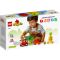 LEGO® DUPLO - Трактор за плодове и зеленчуци (10982)