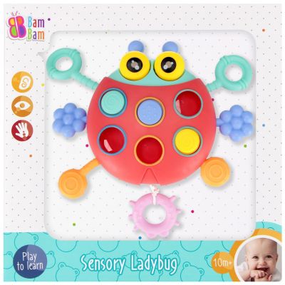 Сензорна играчка, BamBam, Калинка