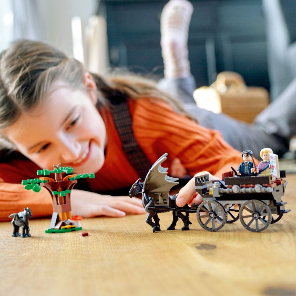 LEGO® Harry Potter - Хогуортс: каляска и тестрали (76400)