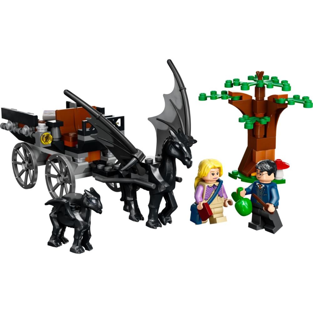 LEGO® Harry Potter - Хогуортс: каляска и тестрали (76400)