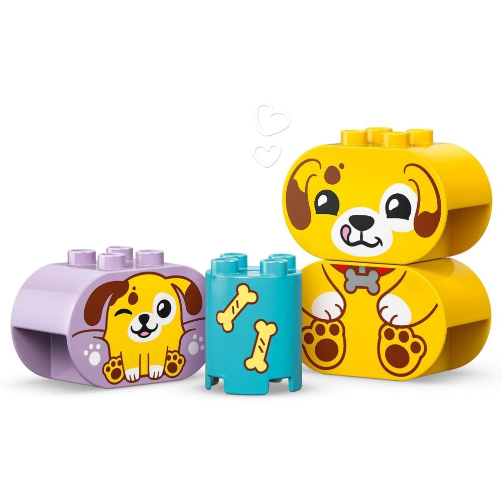 LEGO® DUPLO - Сортер с формички: Къща за кученца (10441)