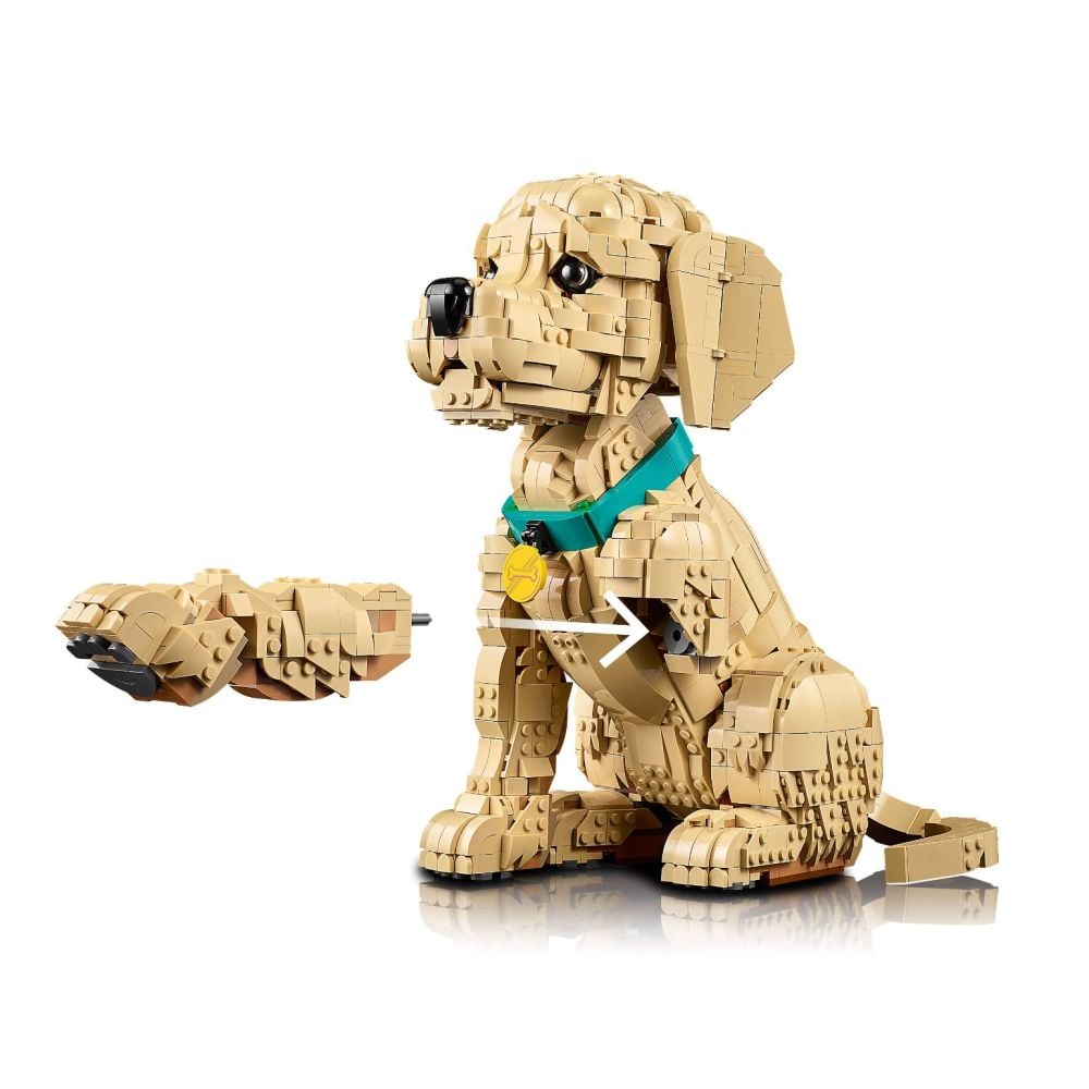 LEGO® Icons - Кученце голдън ретривър (11384)