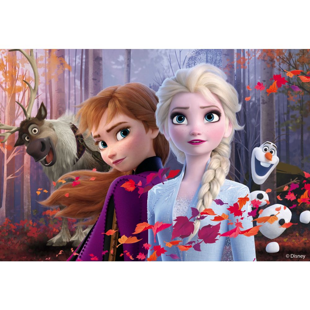 Подов пъзел, Lisciani, Disney Frozen, Maxi, 2 x 24 части