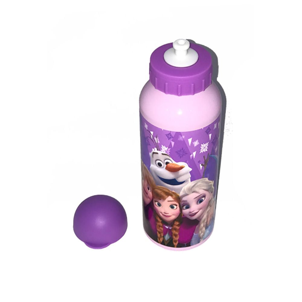 Алуминиев термос Disney Frozen