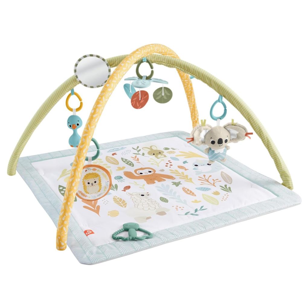 Активна бебешка гимнастика, Fisher Price, Simply Senses Newborn Gym, JMN74