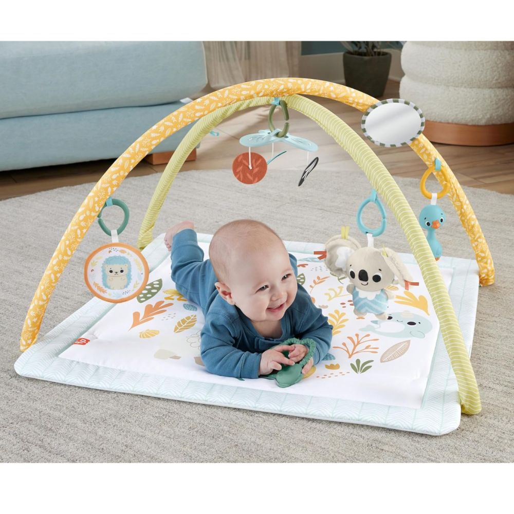 Активна бебешка гимнастика, Fisher Price, Simply Senses Newborn Gym, JMN74