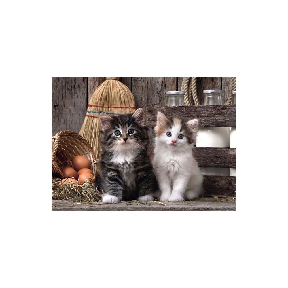 Пъзел Clementoni, Котенца, 1000 части