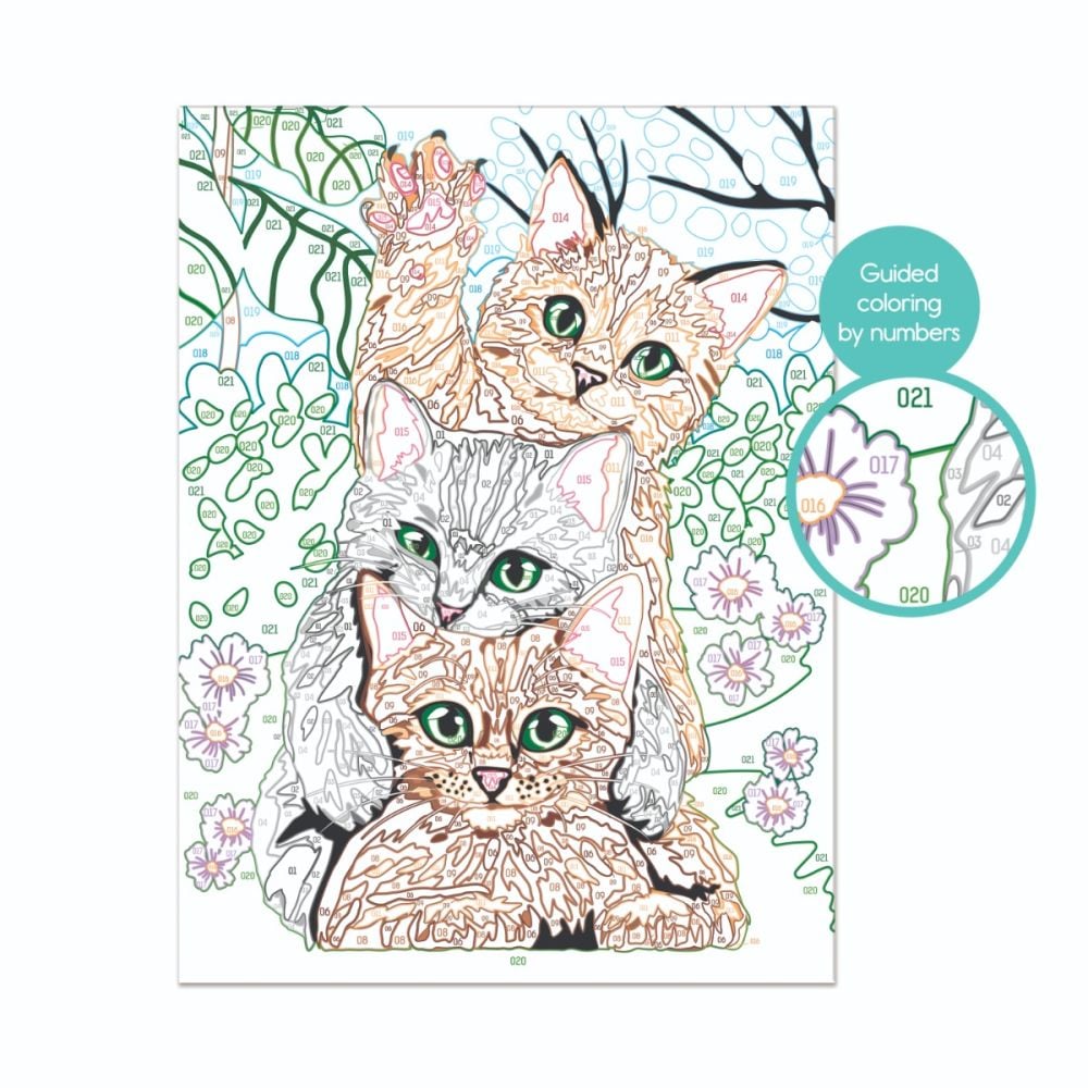 Комплект за рисуване по номера, Happy Hobby, Paint and frame, Забавни котета