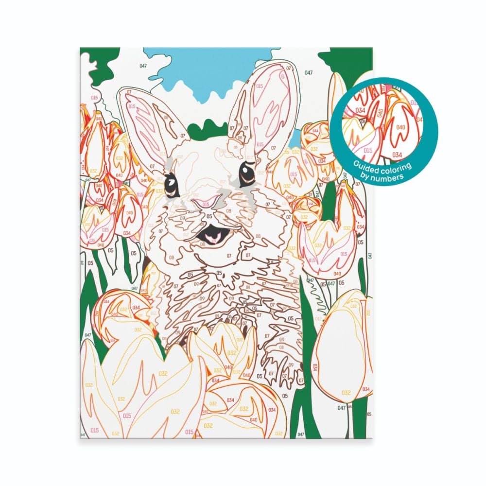 Комплект за рисуване по номера, Happi Hobbi, Paint and frame, Весело зайче