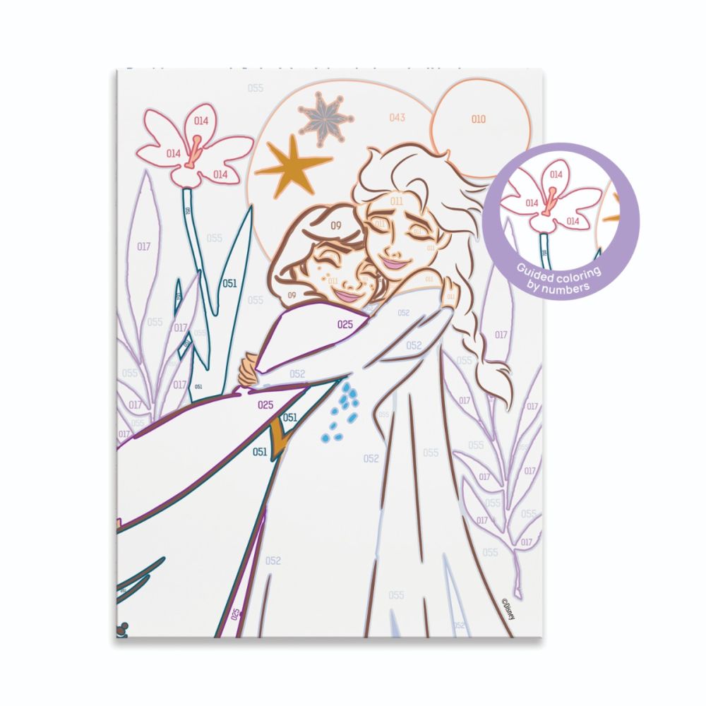 Комплект за рисуване по номера, Happi Hobbi, Paint and frame, Замръзналото кралство