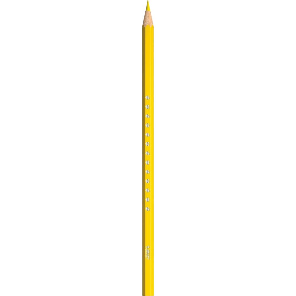 Комплект 24 цветни молива, Bic, Evolution Smooth