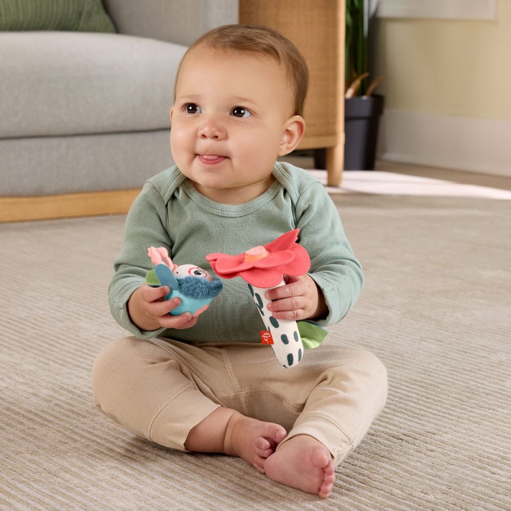 Дрънкалка Fisher Price, Пчела с цвете, HYR56