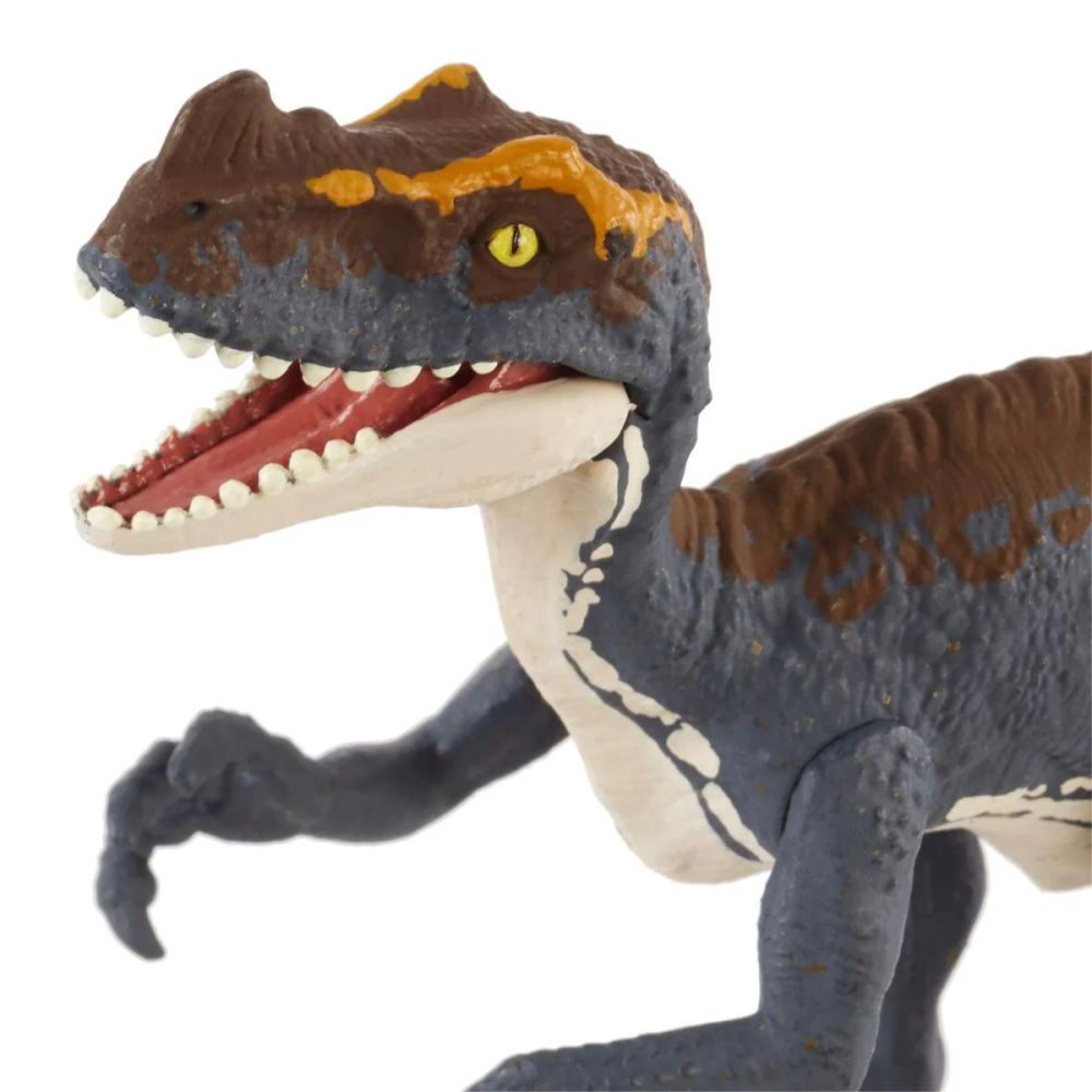 Подвижна фигурка, Jurassic World Rebirth, Frenzy Pack, Proceratosaurus, JCL55